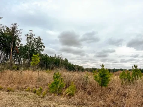 5 Hardin Hideout Road Moscow TX 75960