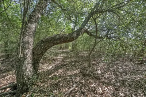 Tbd Cedar Hill Road Brenham TX 77833