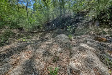 Tbd Cedar Hill Road Brenham TX 77833