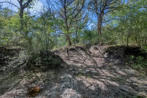 Tbd Cedar Hill Road Brenham TX 77833