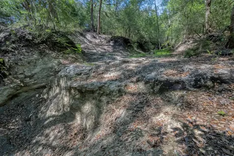 Tbd Cedar Hill Road Brenham TX 77833