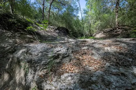 Tbd Cedar Hill Road Brenham TX 77833