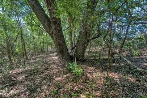 Tbd Cedar Hill Road Brenham TX 77833