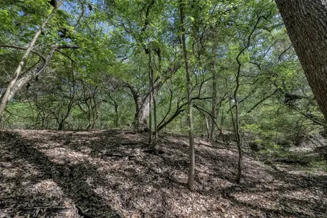 Tbd Cedar Hill Road Brenham TX 77833