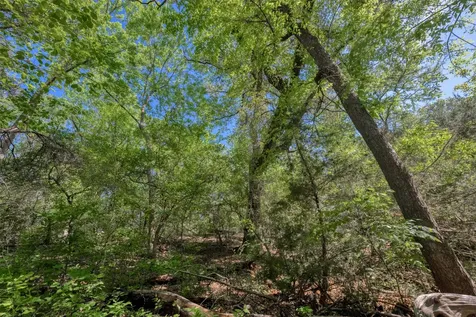 Tbd Cedar Hill Road Brenham TX 77833