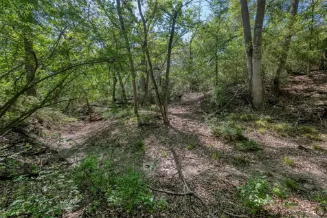Tbd Cedar Hill Road Brenham TX 77833