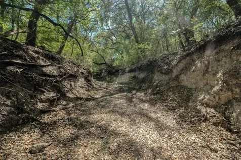 Tbd Cedar Hill Road Brenham TX 77833