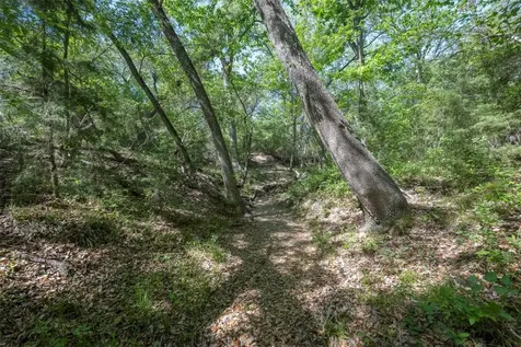 Tbd Cedar Hill Road Brenham TX 77833