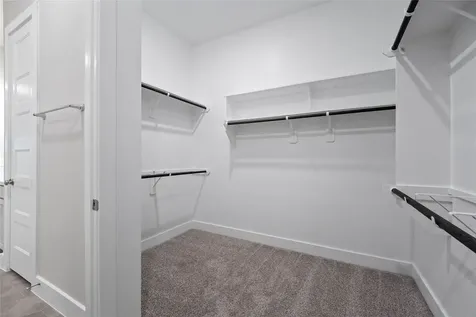 14651 Cedar Elm Court Willis TX 77318