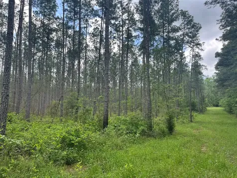 Tbd St Hwy 103e San Augustine TX 75972