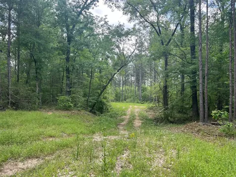 Tbd St Hwy 103e San Augustine TX 75972