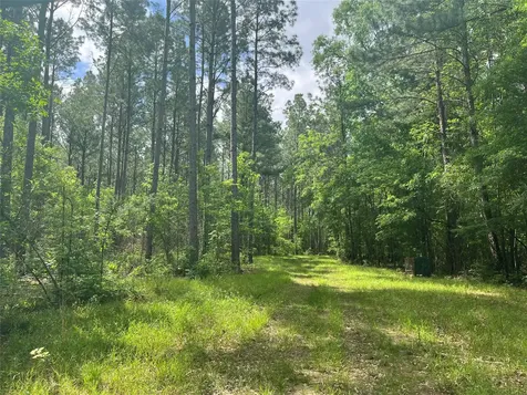Tbd St Hwy 103e San Augustine TX 75972