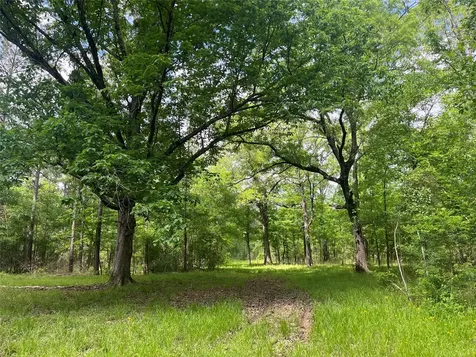 Tbd St Hwy 103e San Augustine TX 75972