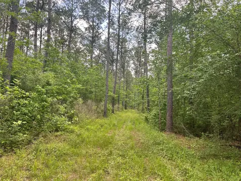 Tbd St Hwy 103e San Augustine TX 75972
