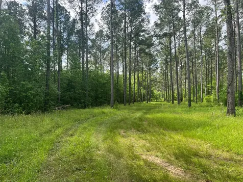 Tbd St Hwy 103e San Augustine TX 75972