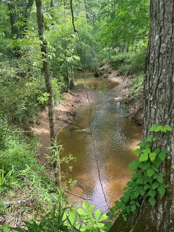 Tbd St Hwy 103e San Augustine TX 75972