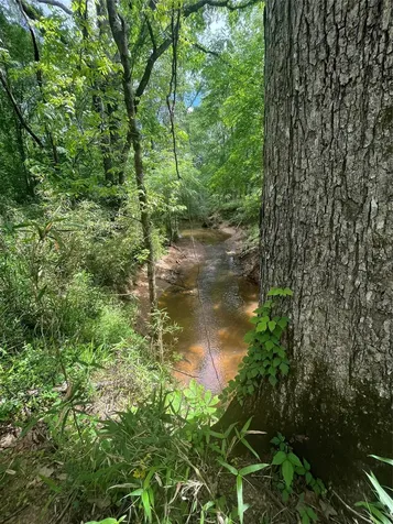 Tbd St Hwy 103e San Augustine TX 75972