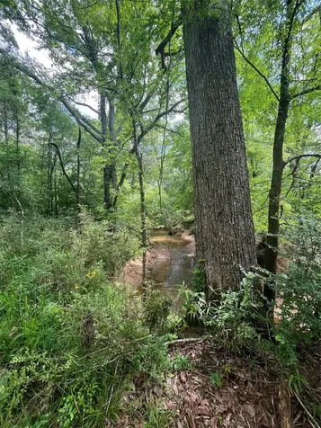 Tbd St Hwy 103e San Augustine TX 75972