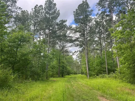 Tbd St Hwy 103e San Augustine TX 75972