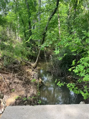 Tbd St Hwy 103e San Augustine TX 75972