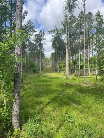 Tbd St Hwy 103e San Augustine TX 75972