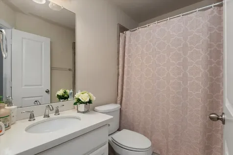 3930 Desert Zinnia Court Manvel TX 77578