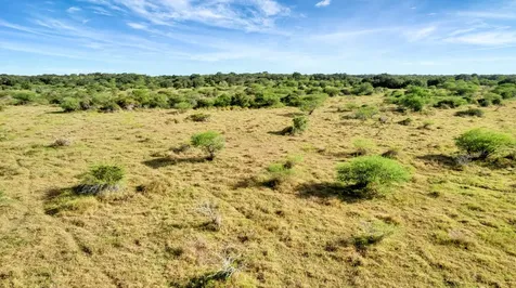 Tbd Private Road 4620 Francitas TX 77961