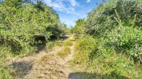 Tbd Private Road 4620 Francitas TX 77961
