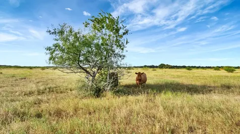 Tbd Private Road 4620 Francitas TX 77961