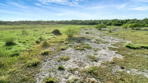 Tbd Private Road 4620 Francitas TX 77961