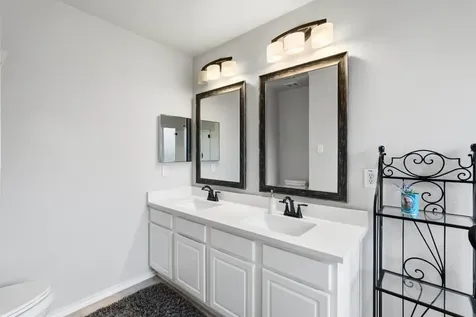 51 Wineberry Place Spring TX 77382