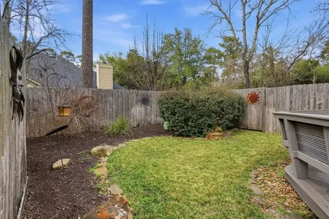 51 Wineberry Place Spring TX 77382