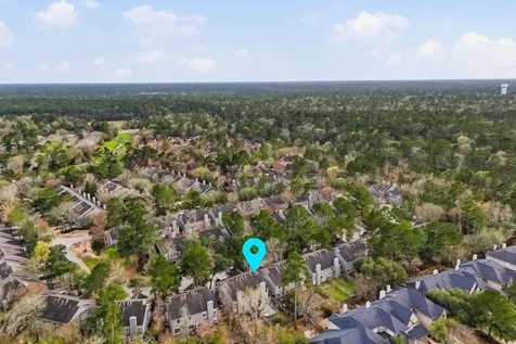51 Wineberry Place Spring TX 77382