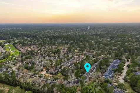 51 Wineberry Place Spring TX 77382