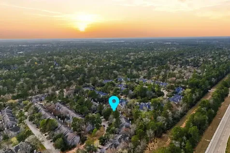 51 Wineberry Place Spring TX 77382