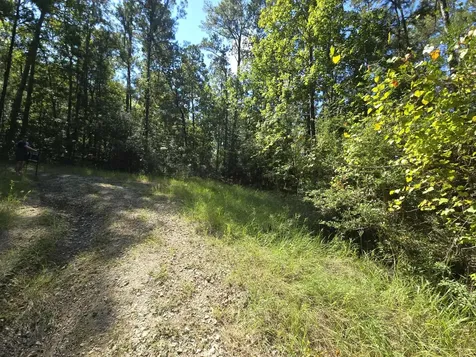 178, 179 Deer Run Lane Brookeland TX 75931