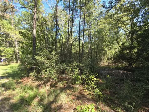 178, 179 Deer Run Lane Brookeland TX 75931