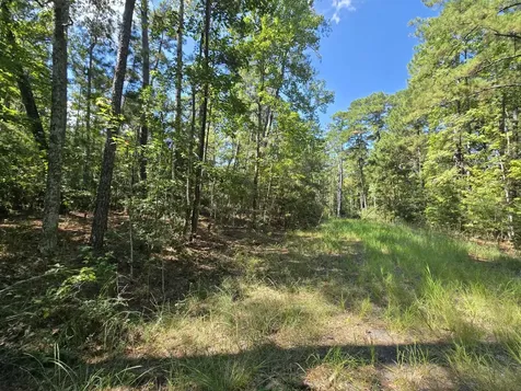 178, 179 Deer Run Lane Brookeland TX 75931
