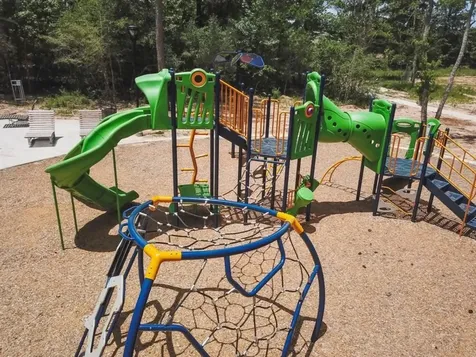 706 Umbrella Tree Drive Magnolia TX 77354