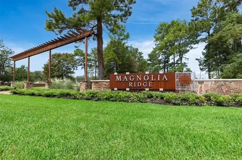 706 Umbrella Tree Drive Magnolia TX 77354