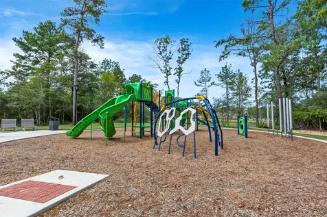706 Umbrella Tree Drive Magnolia TX 77354