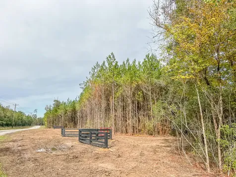0013 Cr 2305 S Moss Hill TX 77327