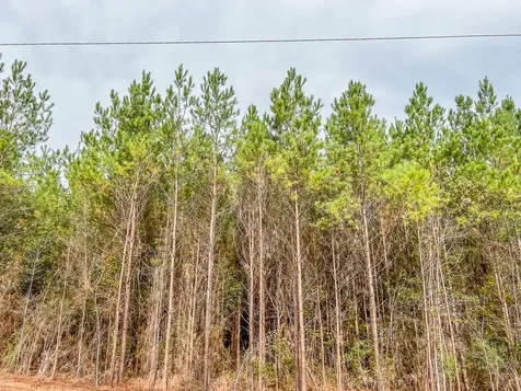 0013 Cr 2305 S Moss Hill TX 77327
