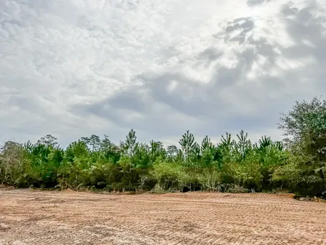 0013 Cr 2305 S Moss Hill TX 77327