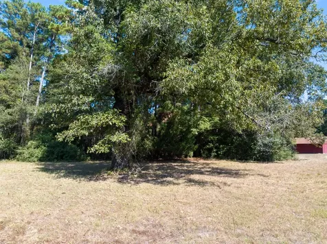 Lot Reserve H Horseshoe Lake Drive Huntsville TX 77340