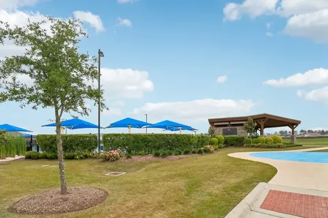 21319 Mountain Ash Drive New Caney TX 77357