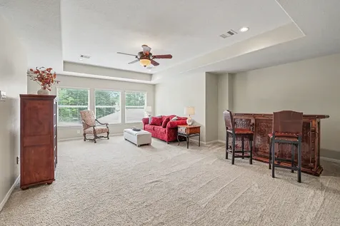29511 Orchard Grove Drive Tomball TX 77377