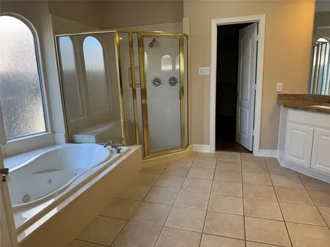 1412 Caine Hill Court League City TX 77573