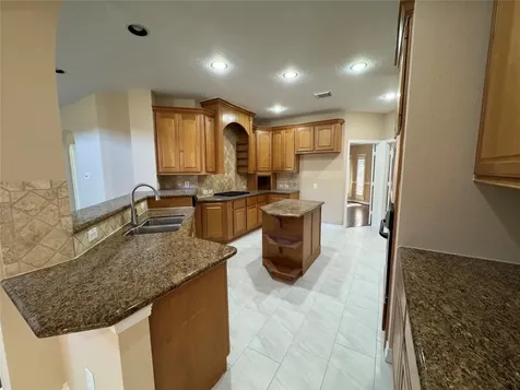 1412 Caine Hill Court League City TX 77573