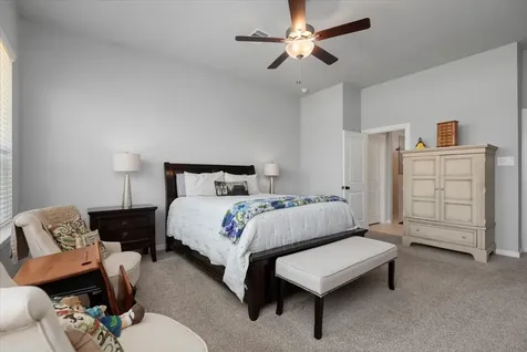 27134 Cutleaf Daisy Court Hockley TX 77447